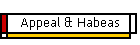 Appeal & Habeas